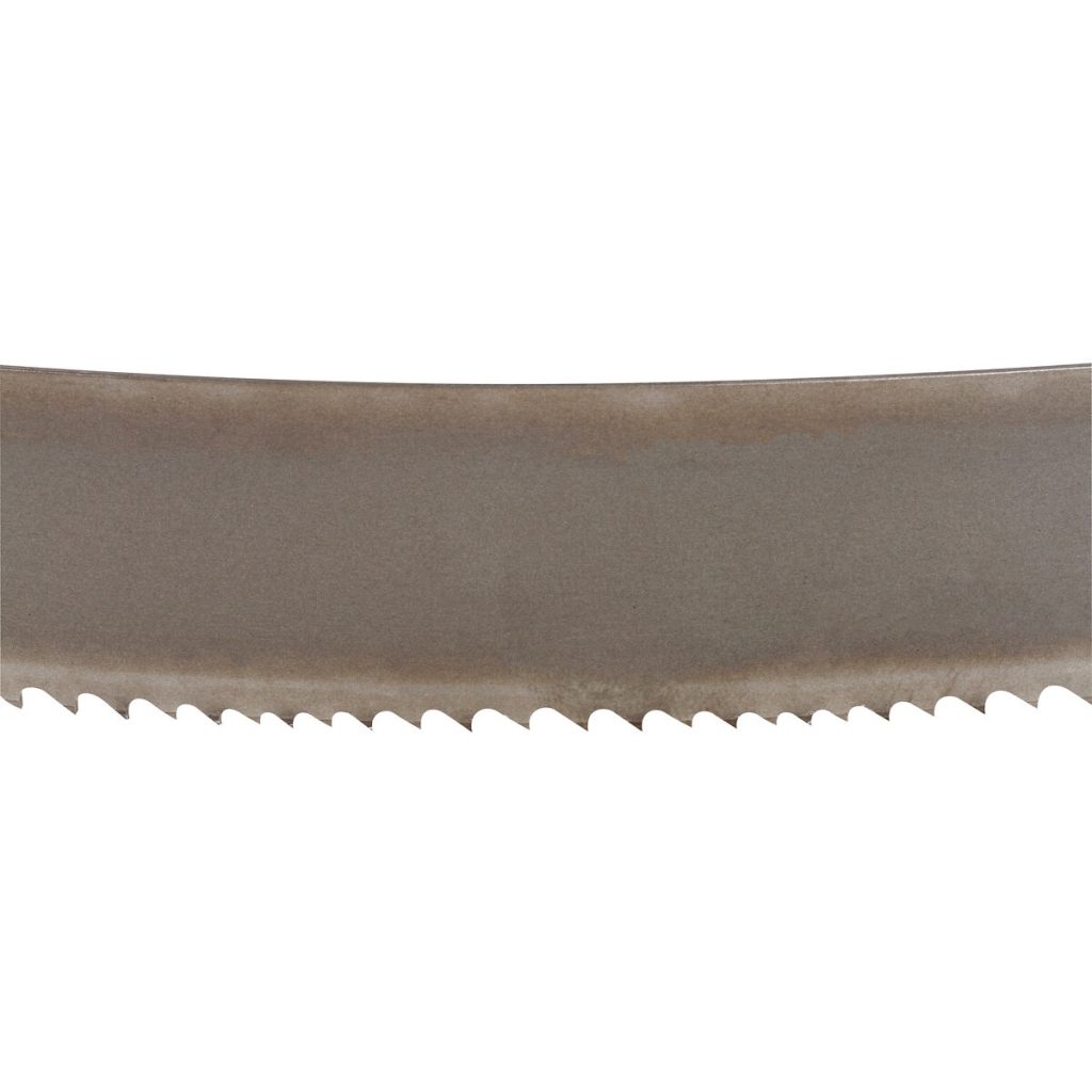Asmens priekš lentzāģa 2480x27x0,9mm z6/10