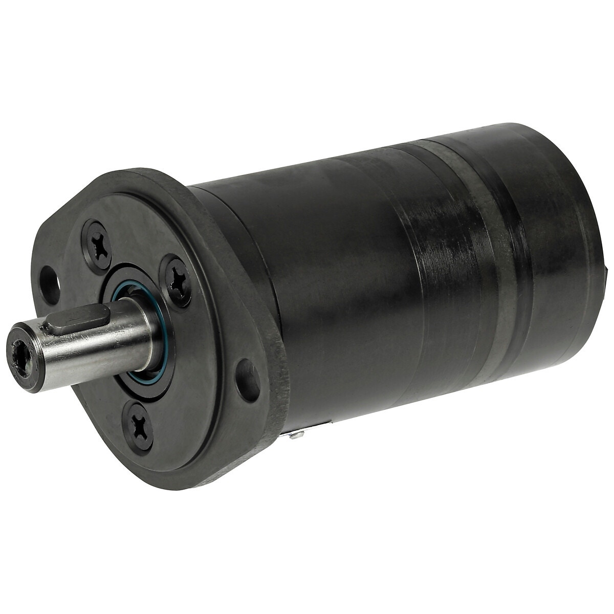 Gerotora motors hmm 31,8