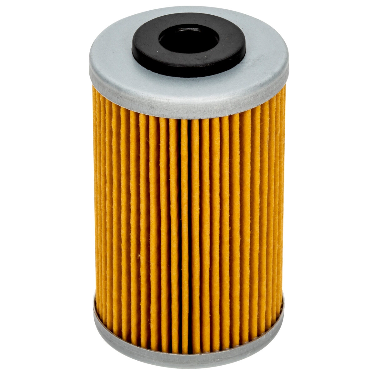 EĻĻAS FILTRS POLARIS 2520754