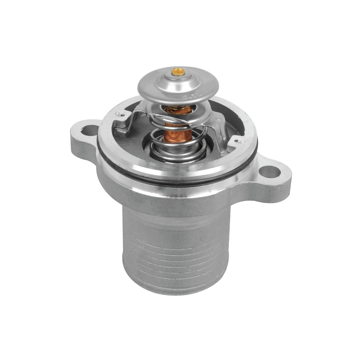 TERMOSTATA KORPUSA BLOKS MF 4225430M1