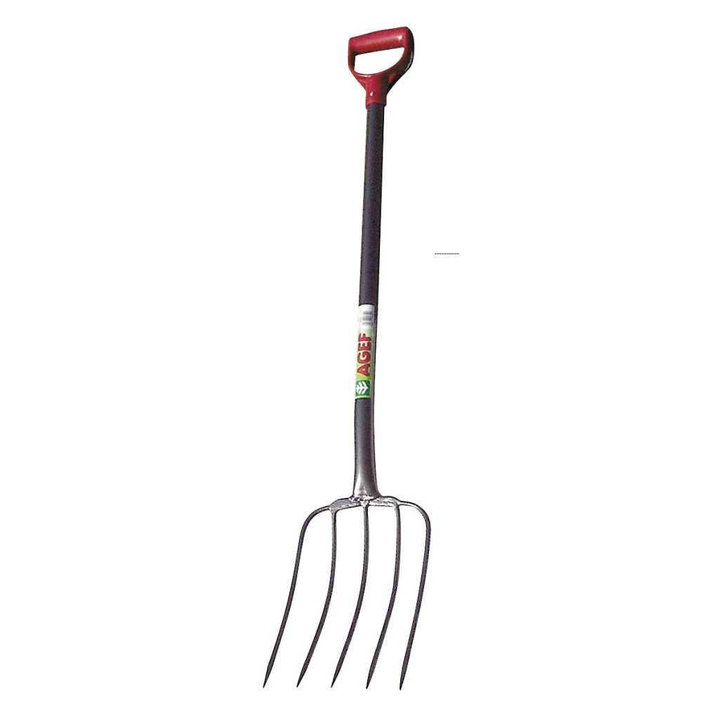DAKŠA AR 5 SMAILEŅIEM AGEF
